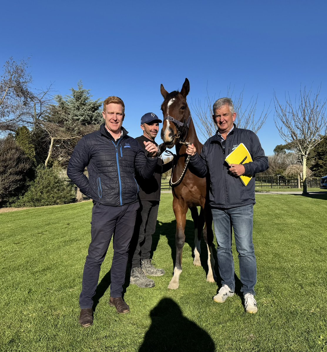 How good to have Steve Davis and Dane Robinson from <a href="/mmsnippets/">Magic Millions</a> come and inspect our yearlings for the 2026 sales series. 
Awesome weather, lovely horses and plenty of laughs, the recipe for a perfect parade.