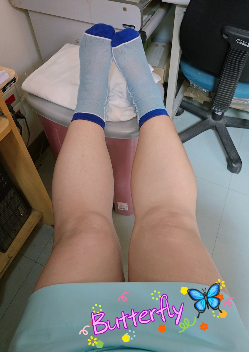 butterfly tweet media