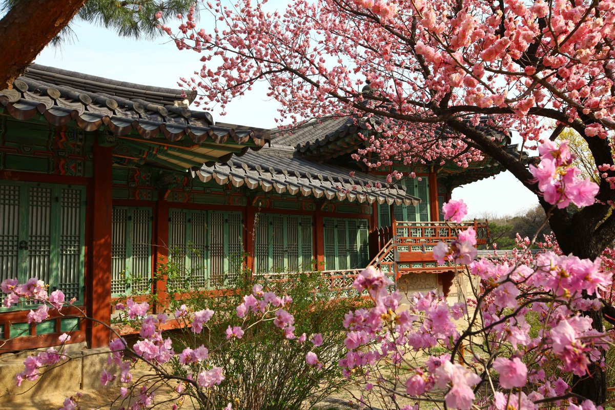 KoreanTravel's tweet photo. NEVER ENDING KOREA
Discover the endless charm of traveling in Korea with Park Bo-gum, Korea’s honorary tourism ambassador.

Watch the video now

One Day, Korea Came to Me
Bo-gum stumbles upon a mysterious camcorder in Dongmyo—
and from that moment, his time-traveling journey across Korea begins
 
Featured Destinations with Park Bo-gum
Changdeokgung Palace, Seoul
Yukbaekmajigi, Pyeongchang
Bakjido Island and Banwoldo Island, Sinan
Marine City, Busan

On My Way
“Let’s just go!”
Embark on a never-ending K-journey led by your feet and heart.
From the golden barley fields of Boryeong to thrilling activities and a breathtaking sunset at Unyeo Beach in Taean

Featured Destinations with Park Bo-gum
Homigot Sunrise Square, Pohang
Joung Do Mullegil, Chuncheon
Green Barley Field, Boryeong
Unyeo Beach, Taean

COOKIE CLIP
What music does Park Bo-gum listen to when he travels? 
Explore Korea through his hand-picked playlist and experience each destination even deeper.

VISITKOREA Recommendation Spots
Bijarim Forest, Jeju
Seongsu-dong, Seoul
Haeundae, Busan

Ready to explore Korea with Park Bo-gum?
Find more stories on the VISITKOREA theme page
