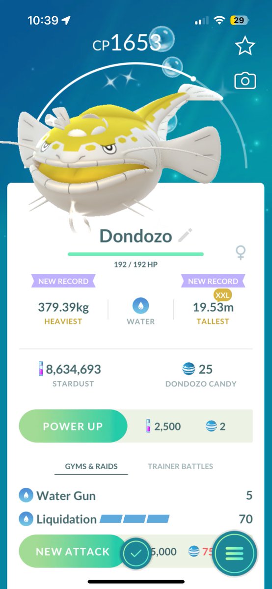 XXL ✨ Dondozo!