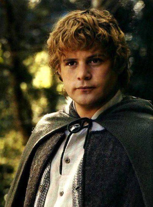TolkienWorldG's tweet photo. Sean Astin as Samwise Gamgee. His performance is still somewhat underrated https://t.co/efjaGJJ84D