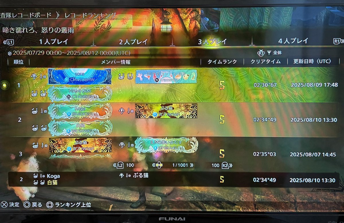 白猫22 tweet media