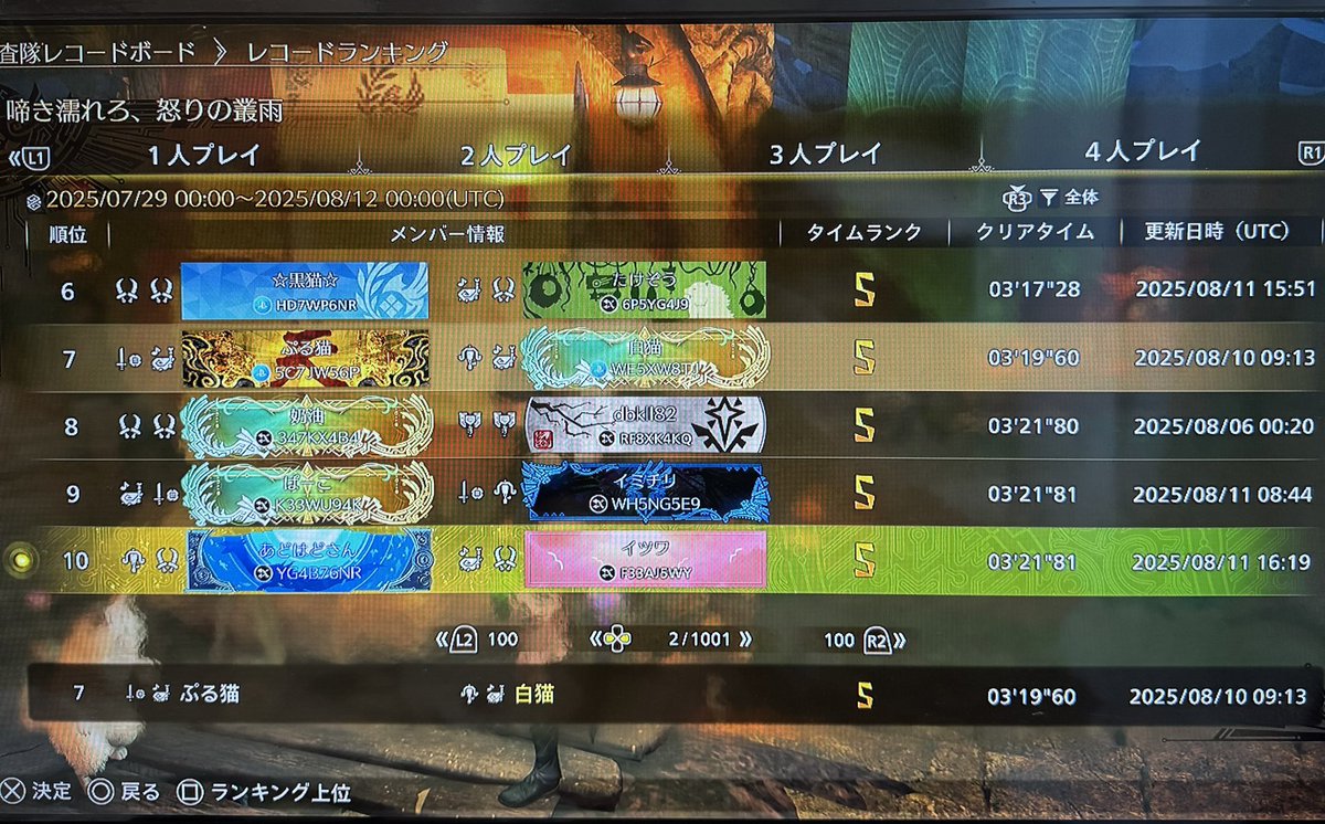 白猫22 tweet media