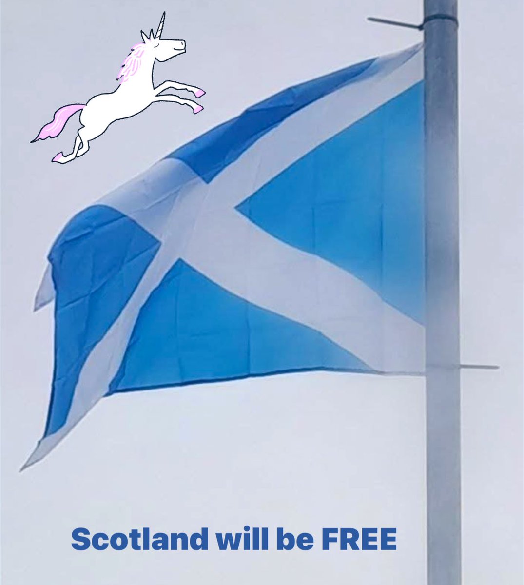 RosemaryPictish's tweet photo. #Scotlamd 
There is an international
STATUTE against settler colonialism ! It is a crime to be a hostile colonial settler ! All forms of Colonisation are crimes https://t.co/bOpoJlXtvf
