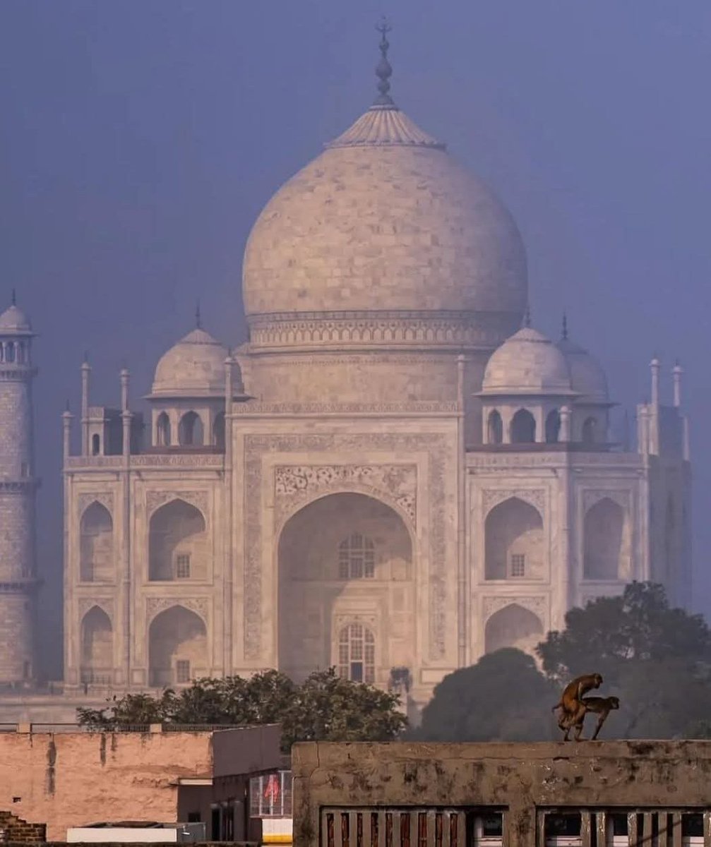 Symbol of true love ❤️

#TheyCallHimOG