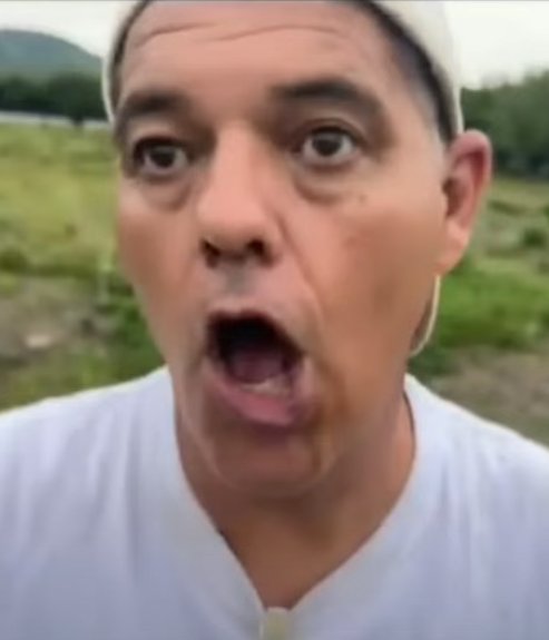 ALIENIGENA RTG tweet media