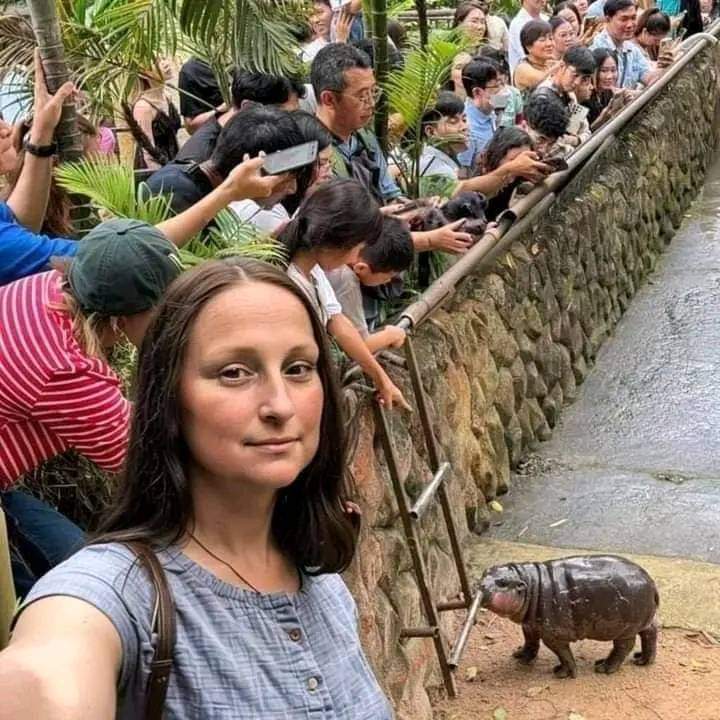 When Mona Lisa is on vacation