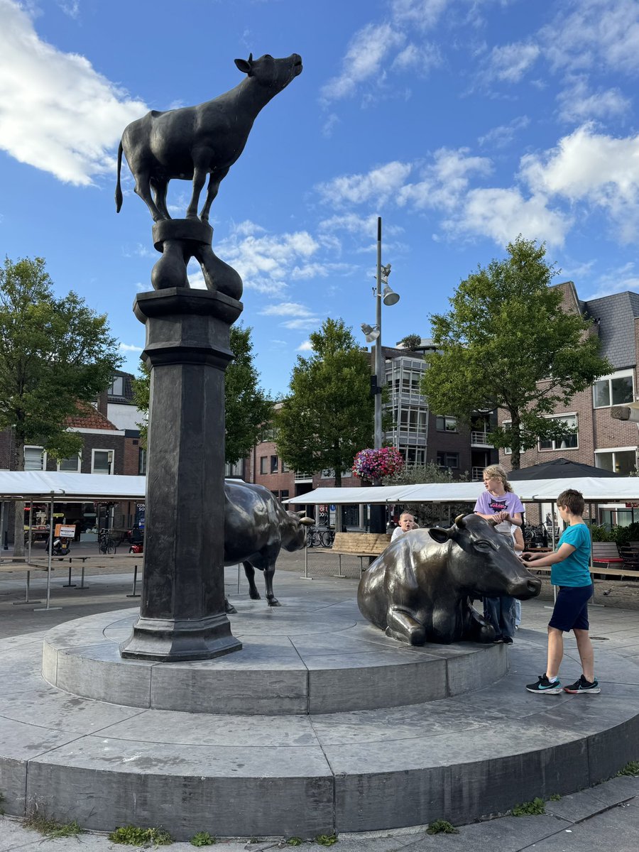 Marja Ruigrok tweet media