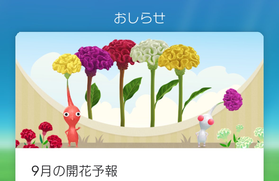 これ見ていとせつのちゃまを思い出すなど