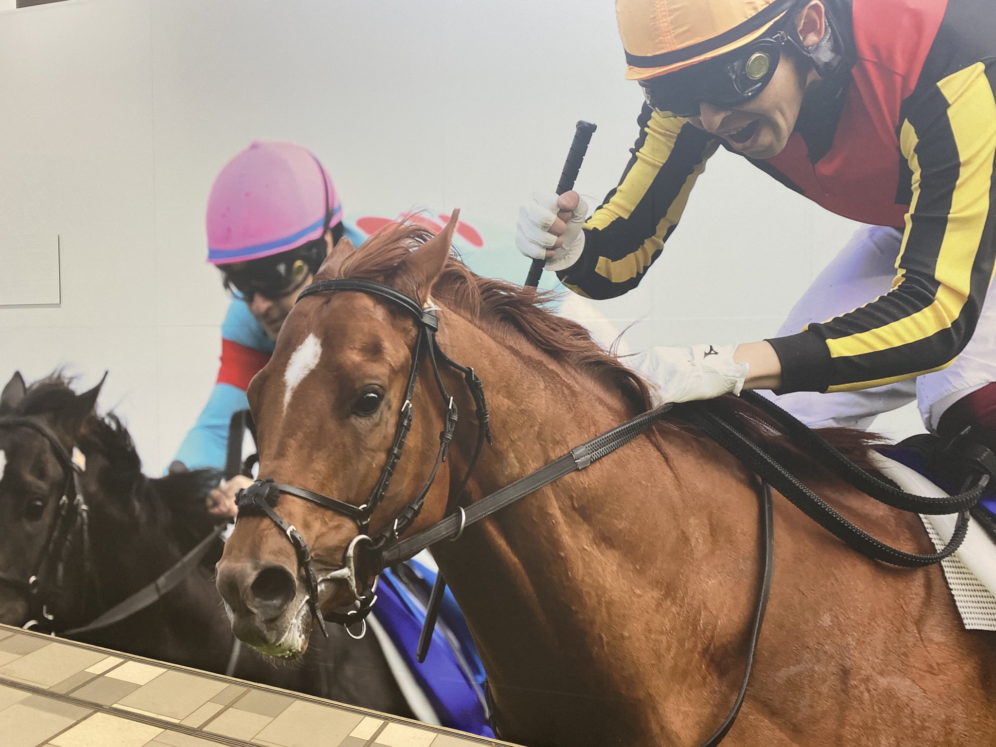 JRA 中山競馬場 おうまさんイヤーマフ（鹿毛）＆キルティングバッグ 佐賀競馬】第40回 中島記念（2024.12.22） - YouTube