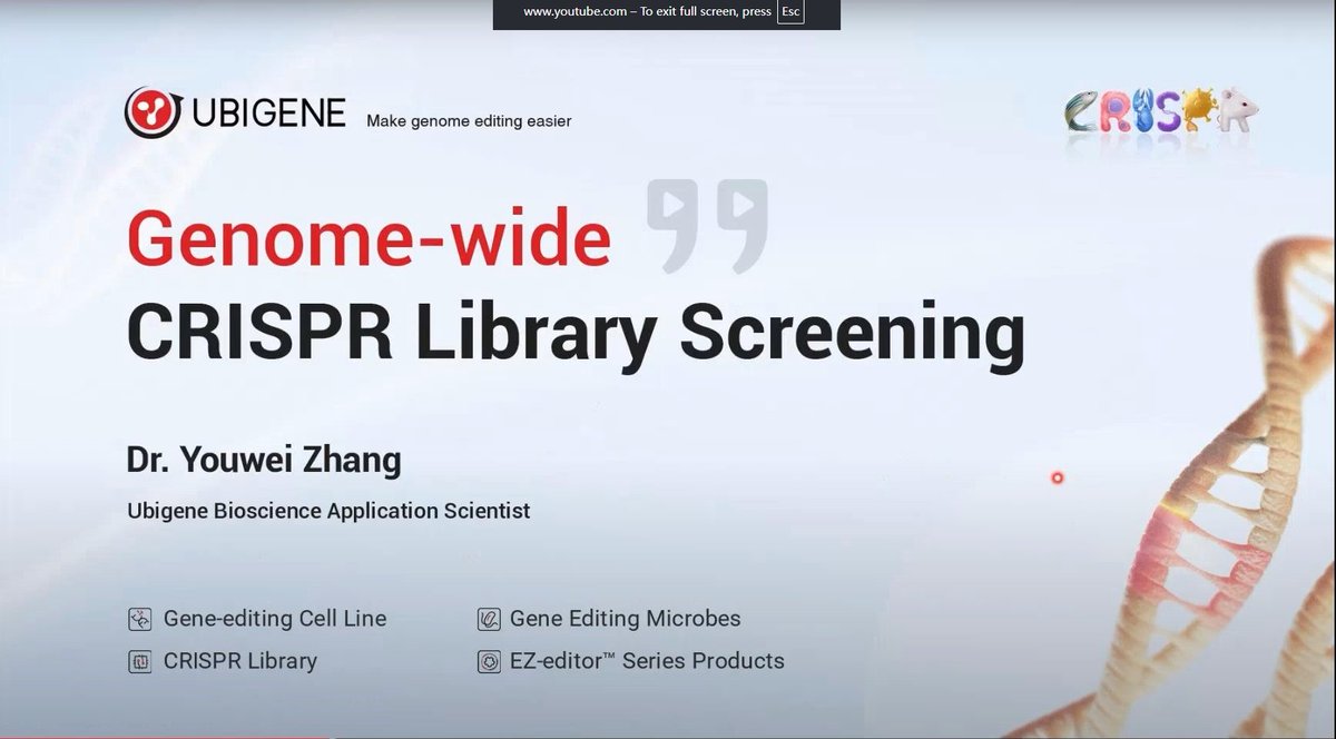 🛰️Dive into CRISPR library screening with Dr. Youwei Zhang from Ubigene! Learn how it transforms cancer research &amp; drug discovery. From basics to validation, 📽️watch now: youtube.com/watch?v=yHGHy9… #CRISPR #GeneEditing #CancerResearch #science #research #Biology #drugdiscovery