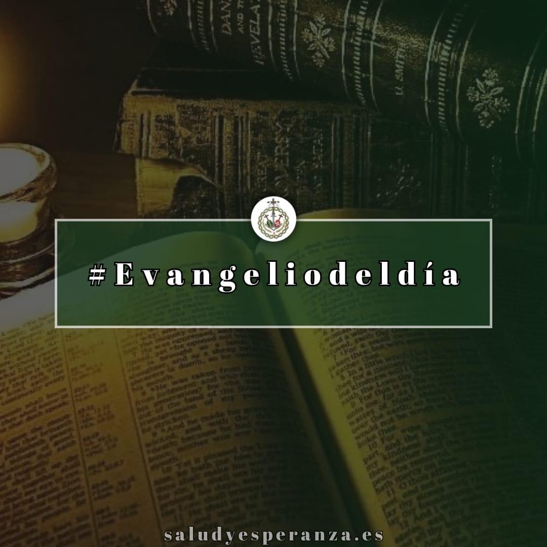 #EvangelioDelDía|  Mt 23, 27-32. "Por fuera parecéis justos, pero por dentro..."
dominicos.org/predicacion/ev…