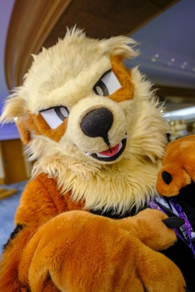 HoundRaiser The Fire Type Wolf #FBL13 tweet media