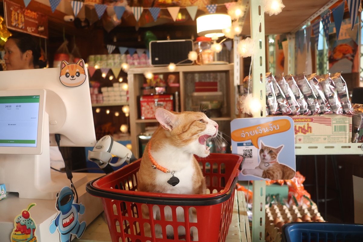 อะไรน้าาาา คุณสมพูดว่าอะไรน้าา ขอดังๆ เลยยย
🐱 : 
คืนนี้มี #WhaleStorexoxo ตอนจบ!!
คืนนี้มี #WhaleStorexoxo ตอนจบ!!
คืนนี้มี #WhaleStorexoxo ตอนจบ!!
คืนนี้มี #WhaleStorexoxo ตอนจบ!!
คืนนี้มี #WhaleStorexoxo ตอนจบ!!
คืนนี้มี #WhaleStorexoxo ตอนจบ!! 
ห้ามพลาดเด็ดขาดเลยนะงับบบบบบ!!