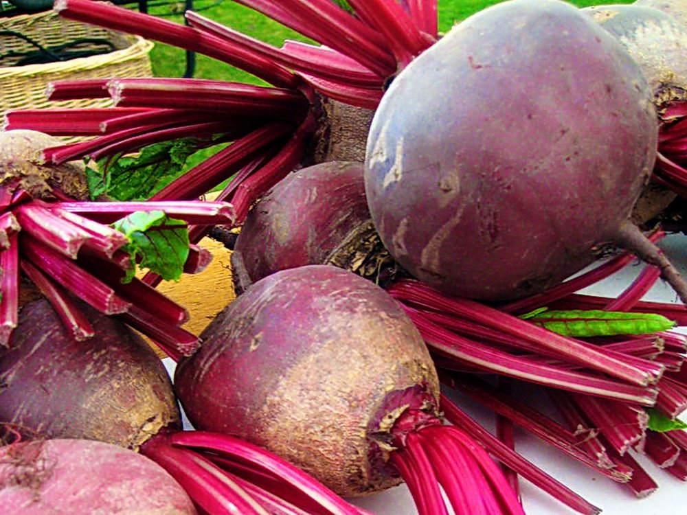 SuperfoodPro's tweet photo. 5 Reasons Why Beets Are a Superfood: Nutritional Benefits and Content Levels
https://t.co/FLRCFRUnTI
Nitrates, betaine, betalains, phenolics and saponins are the most important nutrients in beetroot. Here's how they work, their main benefits, and how much of them they contain https://t.co/PVwNHFgFcD