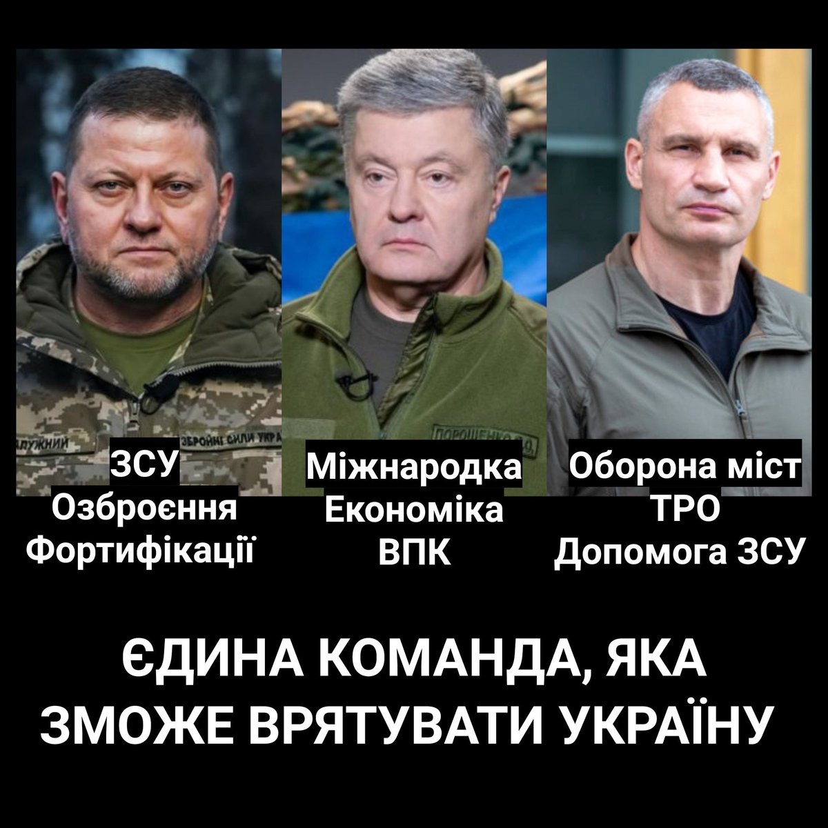 Єдина формула, яка врятує Україну. Більше варіантів нема. Брехливих мародерів трампістів і зрадливих зебоб можна слати нах