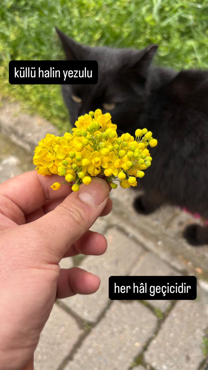 küllü halin yezulu
her hâl geçicidir