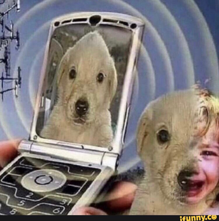phillip tweet media