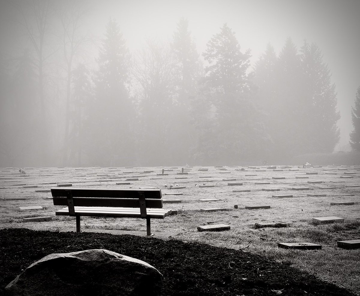 GN🖤
Blinding Silence! 
Motion trapped in stillness.⏸️