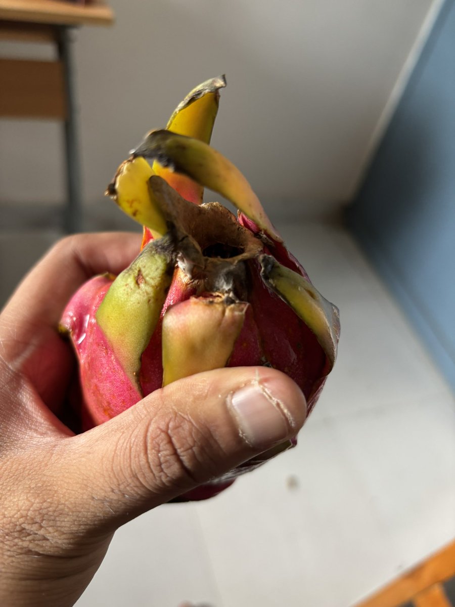 . <a href="/JioMart_Support/">JioMart Support</a> I received a Maggi packet gnawed by a mouse and a dragon fruit that was fungal infected &amp; inedible (Order no. 17562009880375922A). I raised a return/replacement request on the app but I’m still waiting for resolution. Very disappointing experience. <a href="/JioMart/">JioMart</a>