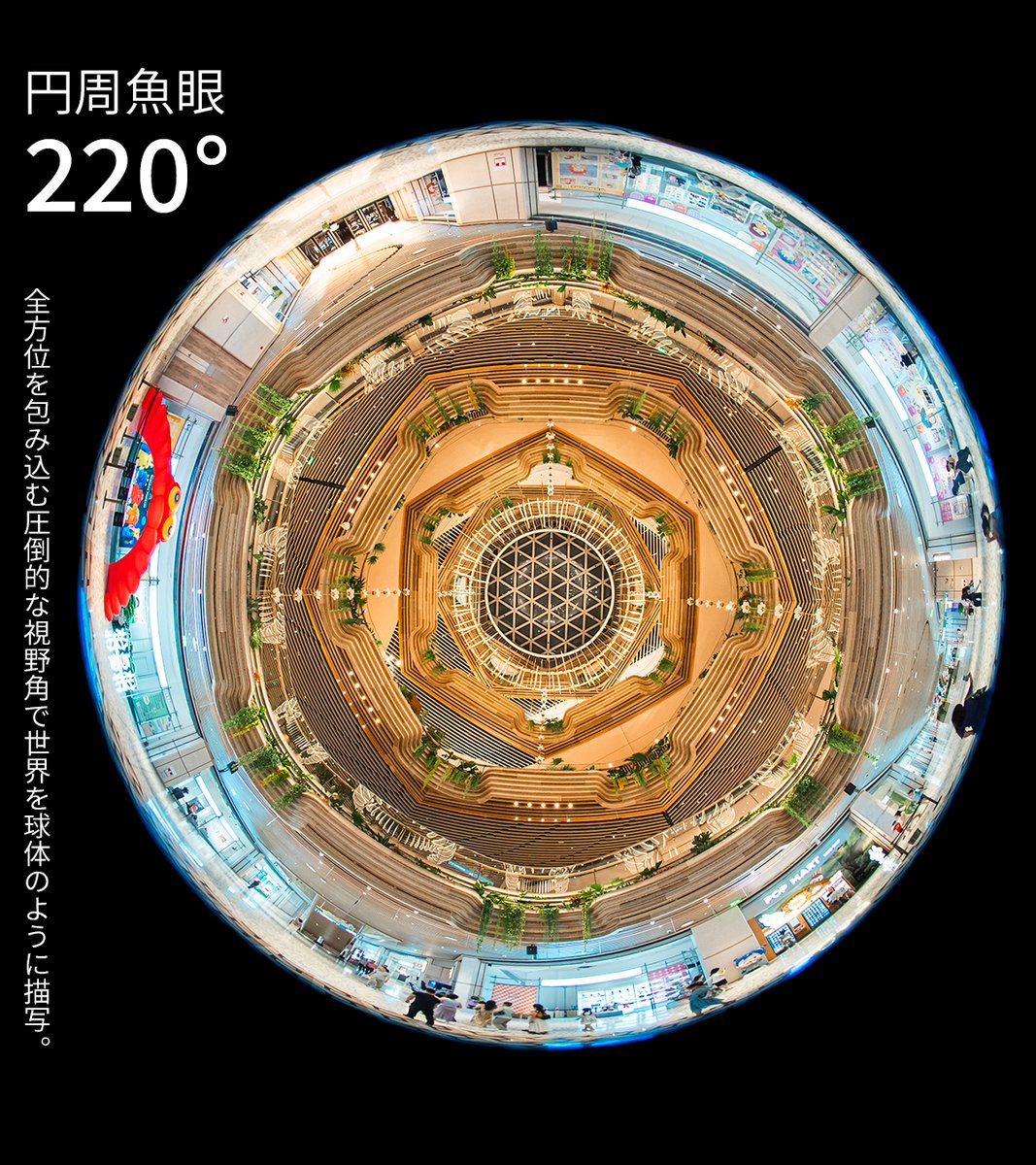 🎉【新発売】AstrHori 6mm F2.8 CIRCULAR FISHEYE🎉
フルサイズ対応220°円周魚眼🌍
世界を球体に凝縮する圧倒的な視野角✨
F2.8で夜景・星景も鮮明に📷

対応マウント：E / RF / Z / L

🛒2ndfocus
2ndfocus.com/products/astrh…
🛒Amazon
amzn.asia/d/cKIEt68

#AstrHori #2ndfocus #新発売