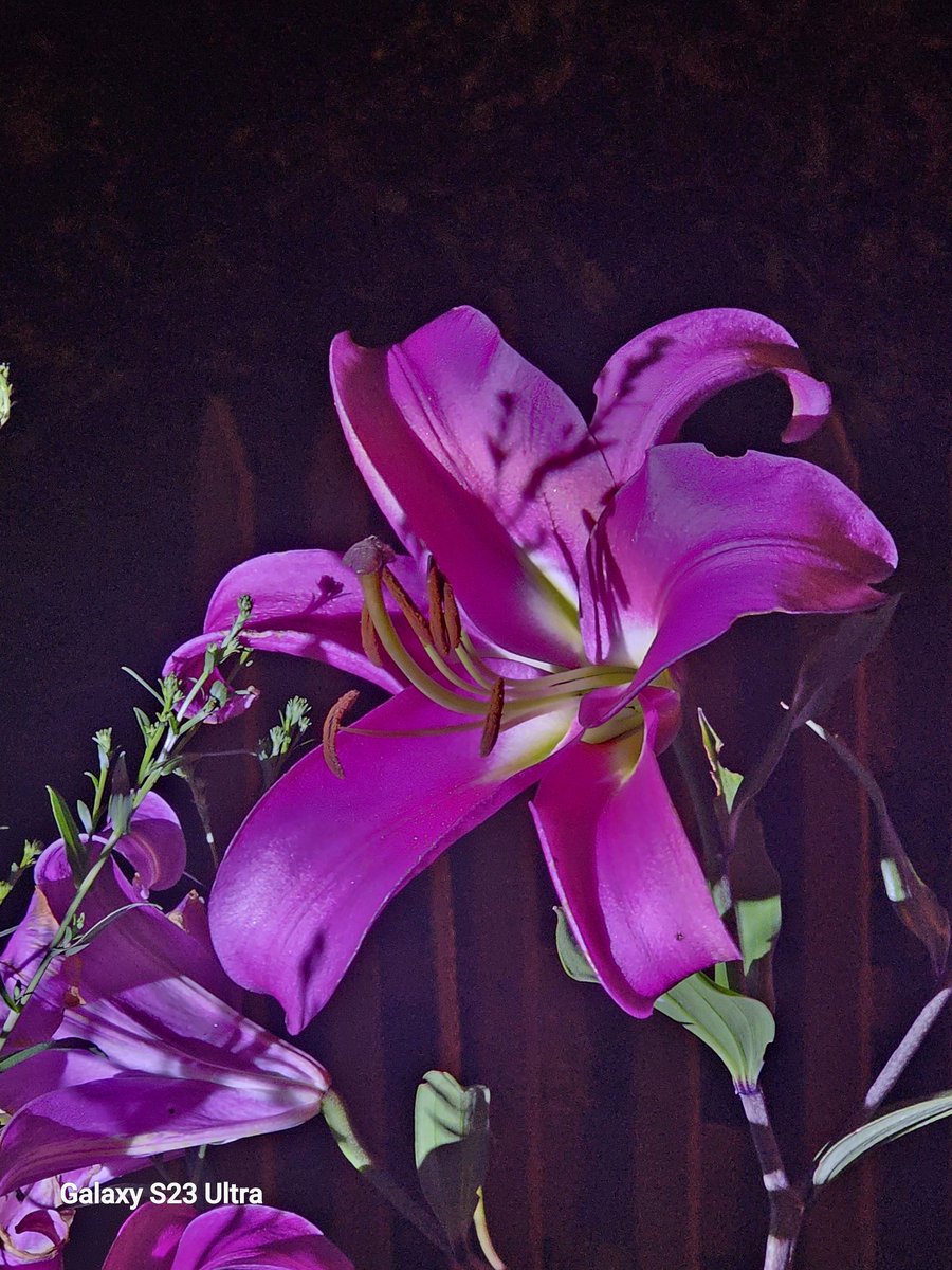 Başkenttenn günaydınnnn x dostlarım.......