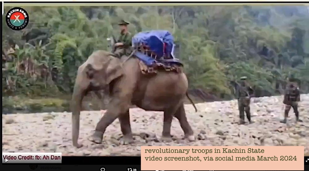 EdithMirante's tweet photo. 1. This History Thread is about the elephants of Burma (Myanmar) in war &amp; in peace. These highly intelligent, social animals have survived brutal interactions with humans, conflict zones &amp; habitat loss. #WhatsHappeningInMyanmar 🐘🐘🐘 #elephants https://t.co/LGTWqqn3jN