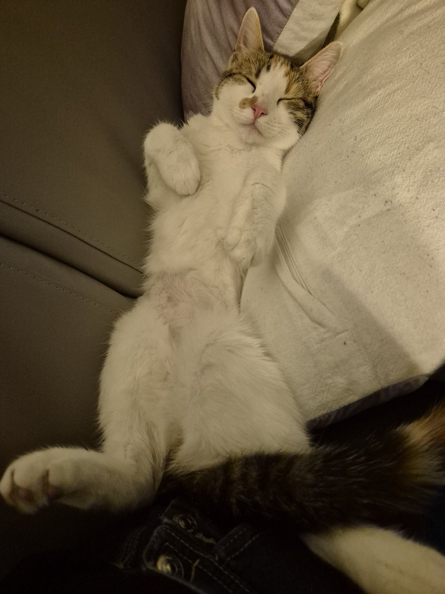 Eli la petite lune 🌙 tweet media