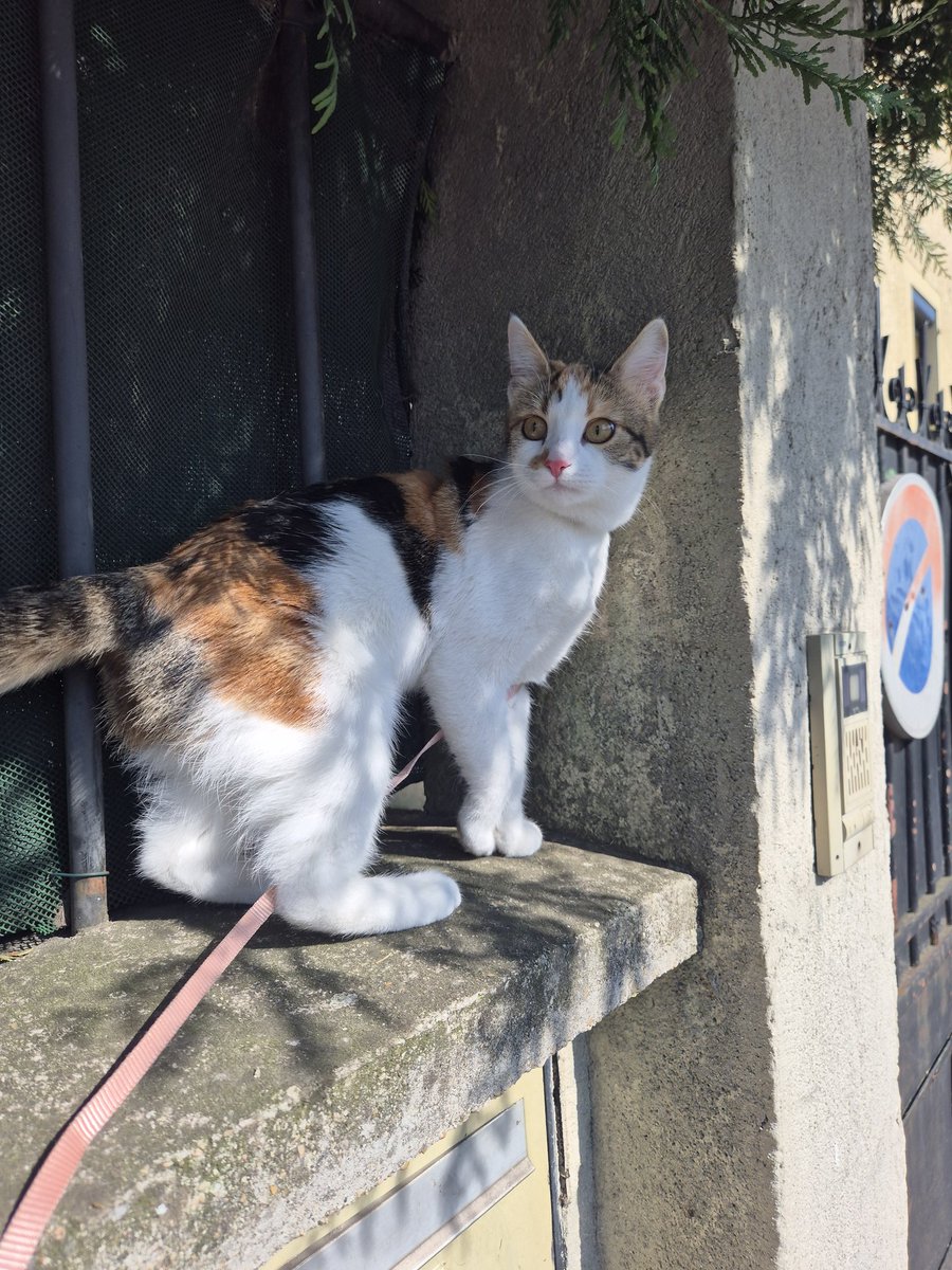 Eli la petite lune 🌙 tweet media