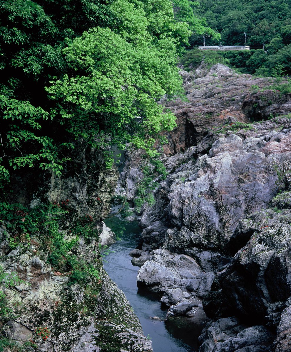 hichiso's tweet photo. 飛水峡、高山線、礫岩そして緑の木々🟢七宗町の魅力が詰まった一枚です🏞️🚃#自然写真 #キハ #高山線 #華のある栄えある町 #naturalpic #train https://t.co/jAIew1V7LM
