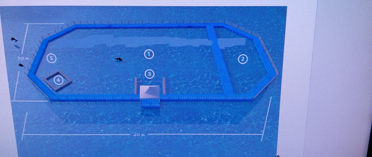 Size 30 meters by 60 meters 2 pieces.
1. The main aviary for rehabilitation

2. The transported sector

3. Space for medical procedures

4. Fish tank

5. The opening section of the enclosure for the release of dolphin