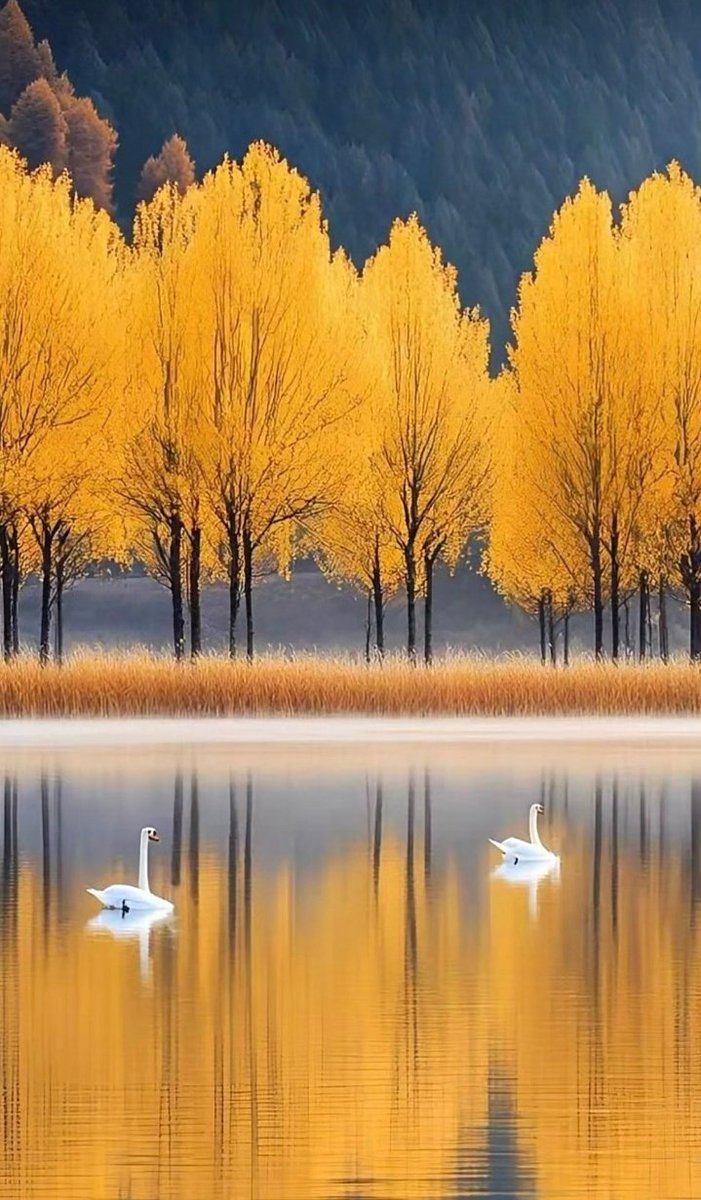 jaingurug's tweet image. #GoodMorning #LoveIsland #NatureBeauty #NaturePhotography