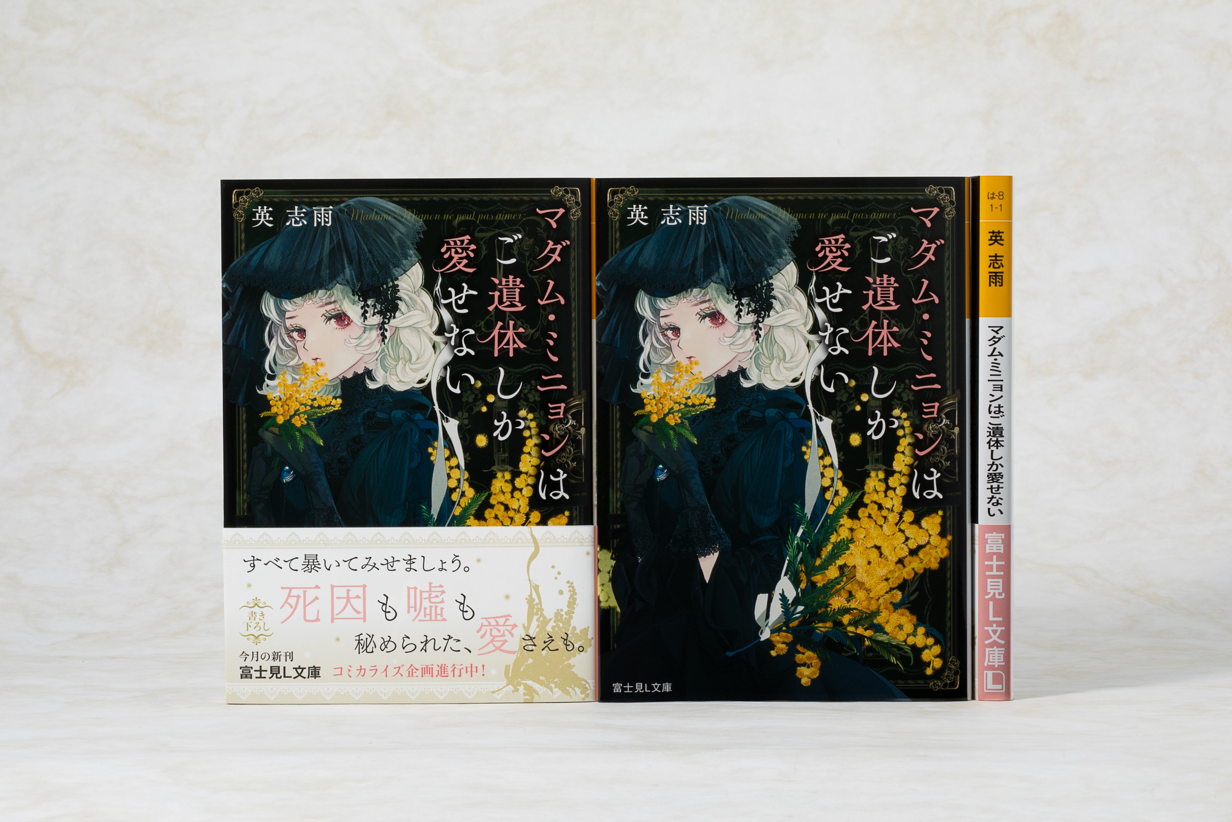 富士見ロマン文庫8冊 富士見ロマン文庫8冊