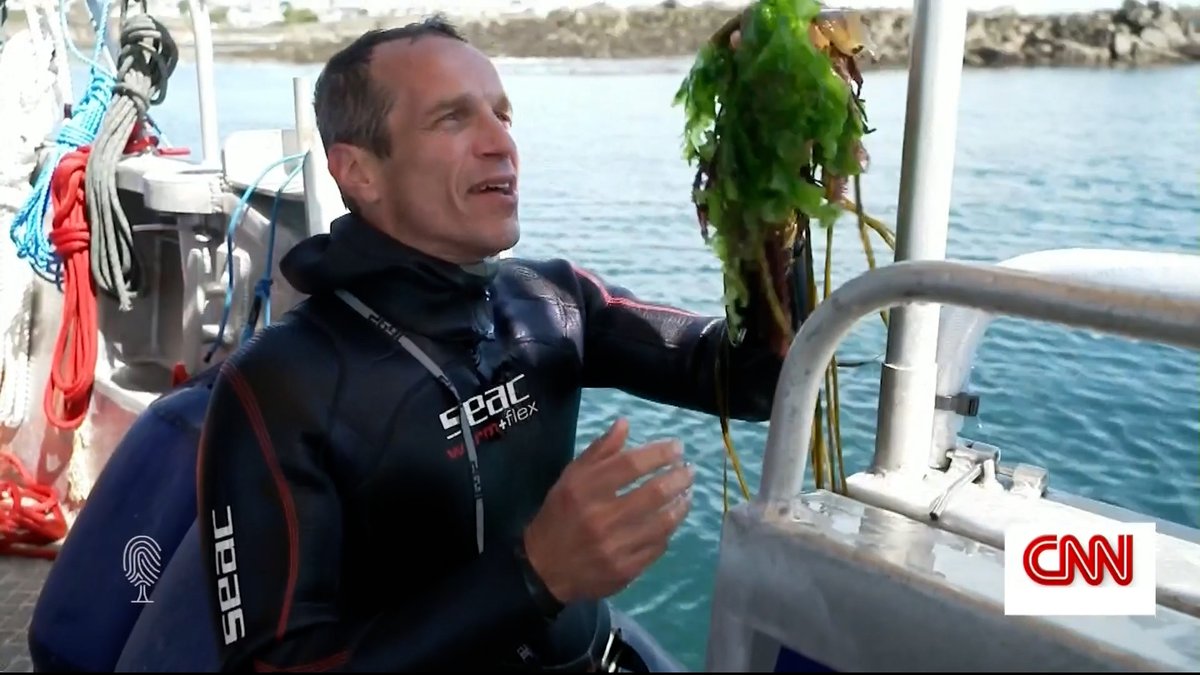 \#海藻 が地球を救う？/
📢9月から #CNNj の厳選番組を字幕付きで配信中！

『地球の未開発資源 「海藻」
（Call to Earth: Sea of Hope）』

栄養豊富な #スーパーフード としてだけでなく、
脱プラ梱包材や気候変動対策にも期待される #海藻 の力。