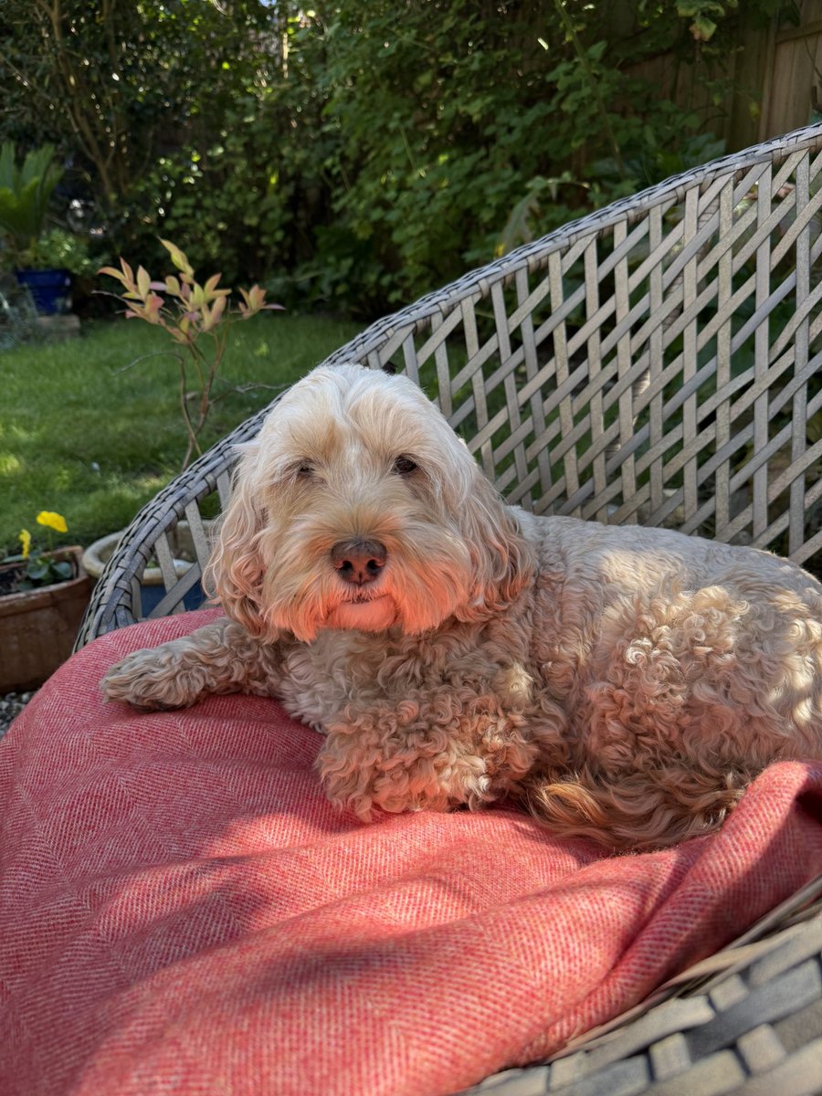 TM_James 🚂 tweet media