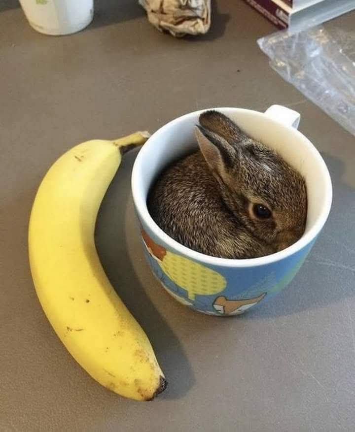 Доброе утро! 
Органический завтрак в постель