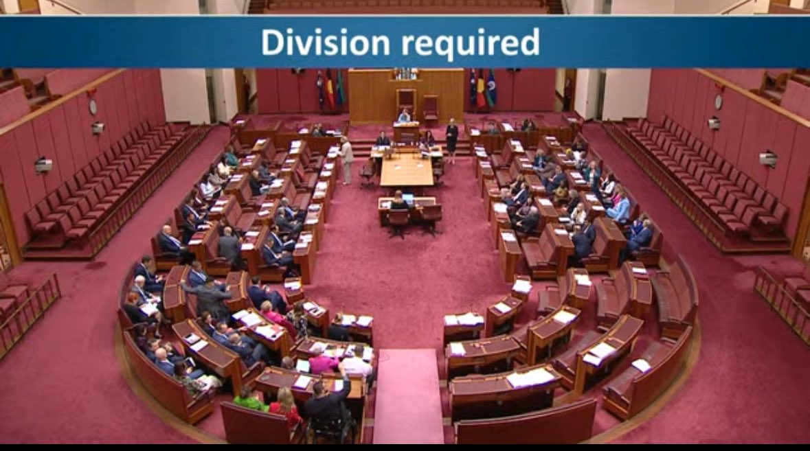 BREAKING: The Senate has just voted YES to our inquiry into the social media age ban &amp; search engine age verification codes! This isn't just about kids - it's a national age verification and identification system masquerading as being about online safety for children.