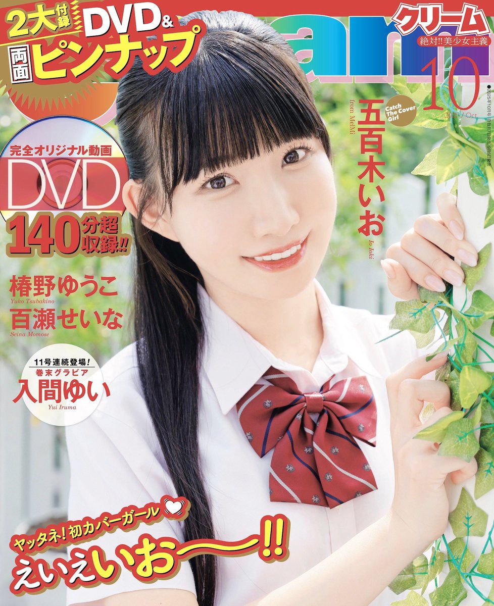 月刊クリーム増刊号　ホワイトクリーム&ホワイトクリームハイパー11冊セット 月刊クリーム増刊号 ホワイトクリーム&ホワイトクリームハイパー