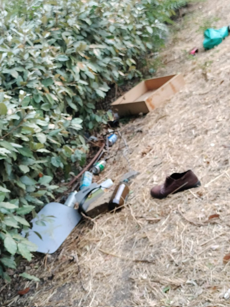 AVVBarrioMosca's tweet image. Suma y sigue
Cada día peor @Lineamadrid bajo el puente de los capuchinos, lado de #usera. Hay cristales en las escaleras de continuo paso.