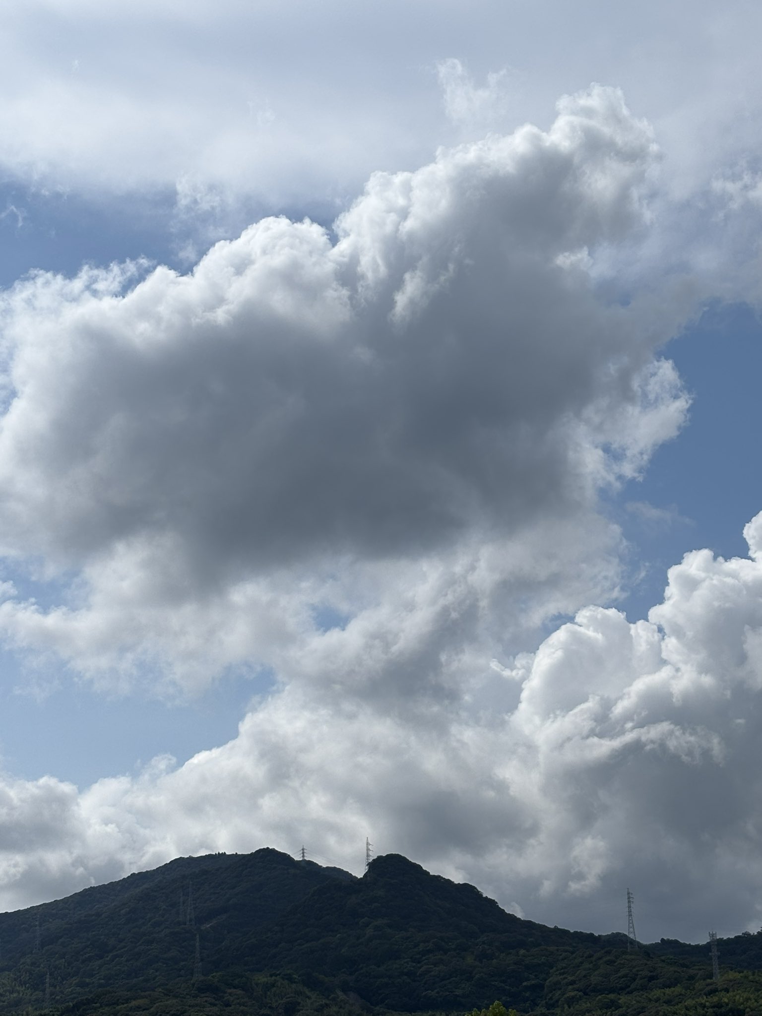 雲雲雲の下 白石涼子 on X: 