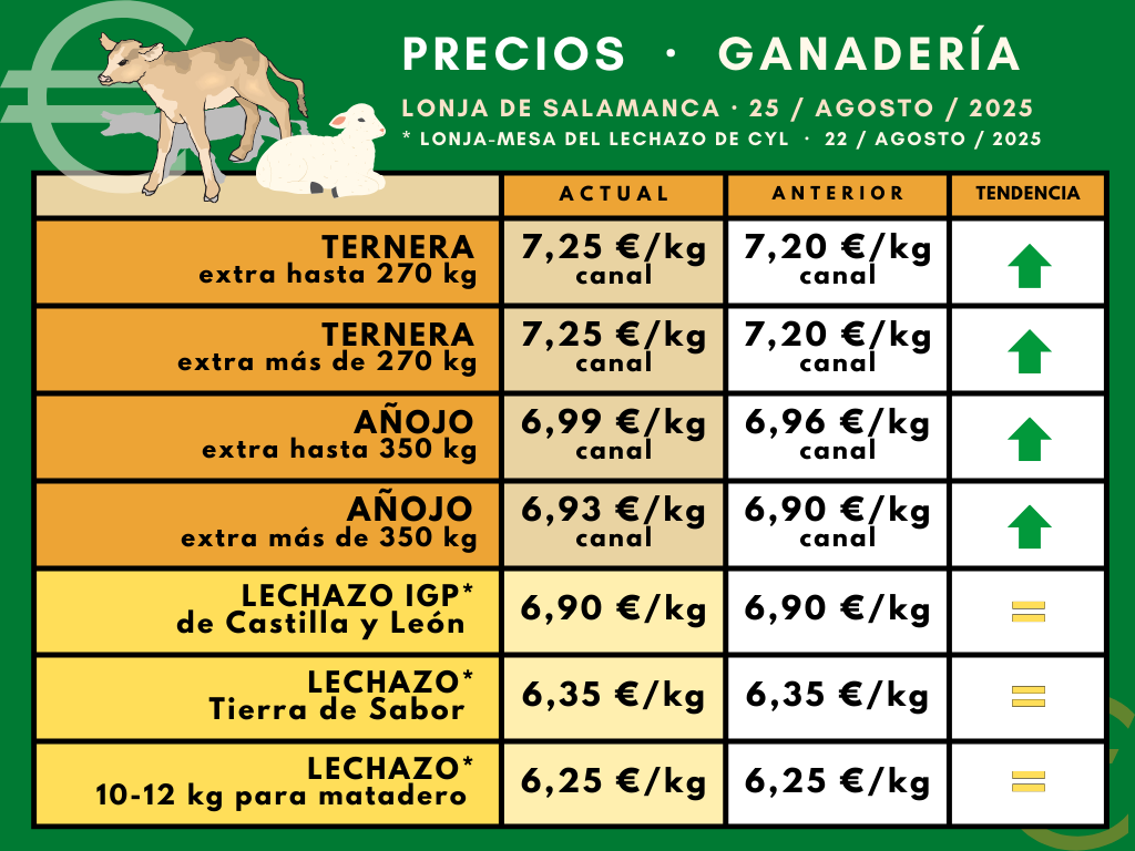 La carne marca un nuevo máximo en Salamanca mientras el lechazo mantiene su última cotización
asajacyl.com/palencia/asaja…