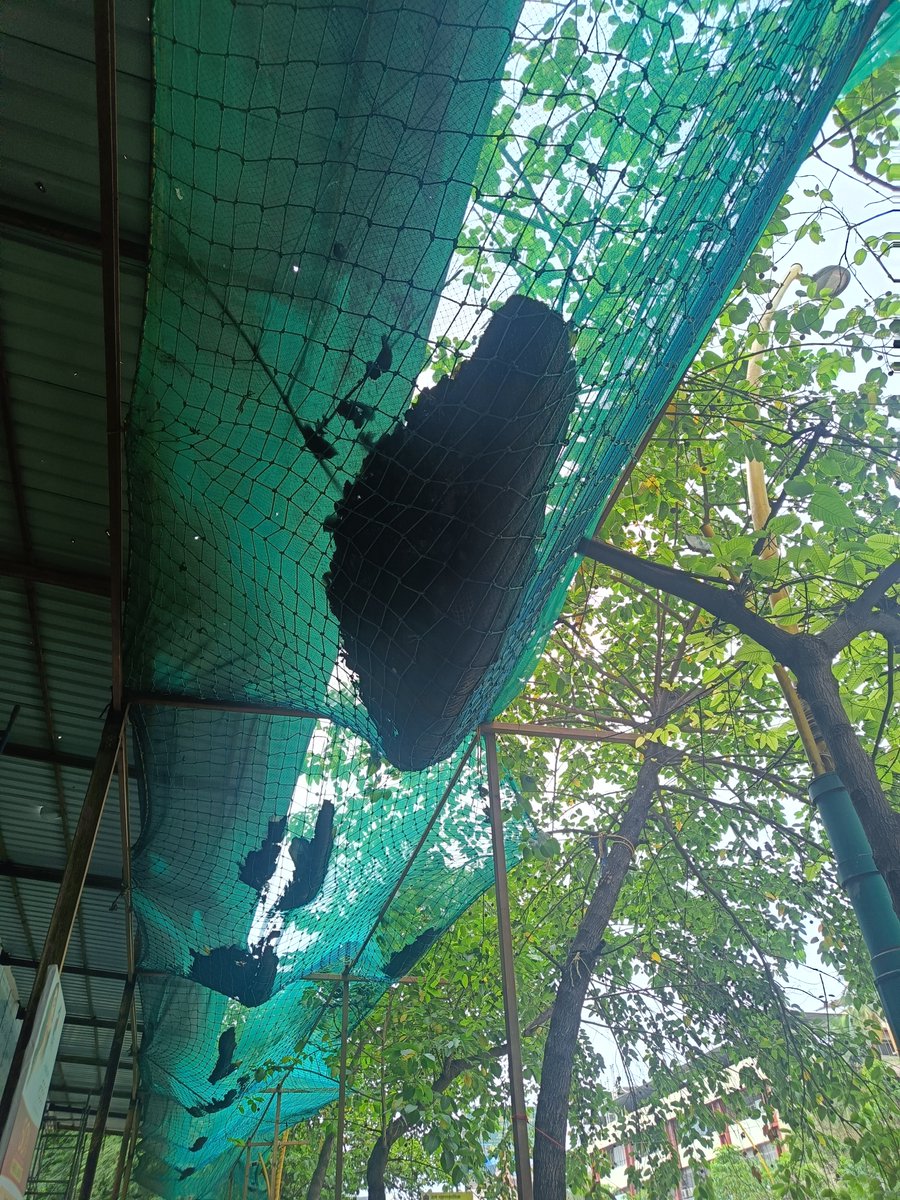 pratikthorve's tweet photo. @TMCaTweetAway @mieknathshinde @nareshmhaske accident waiting to happen , pls ask builder to get these debris from net removed. Location Puranik Grand central , pokhran road no1 , vartak nagar. https://t.co/08omIPL7VO