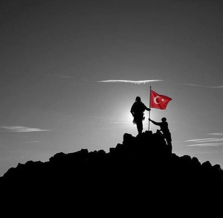 turqoisè (@tuurqoise) on Twitter photo 