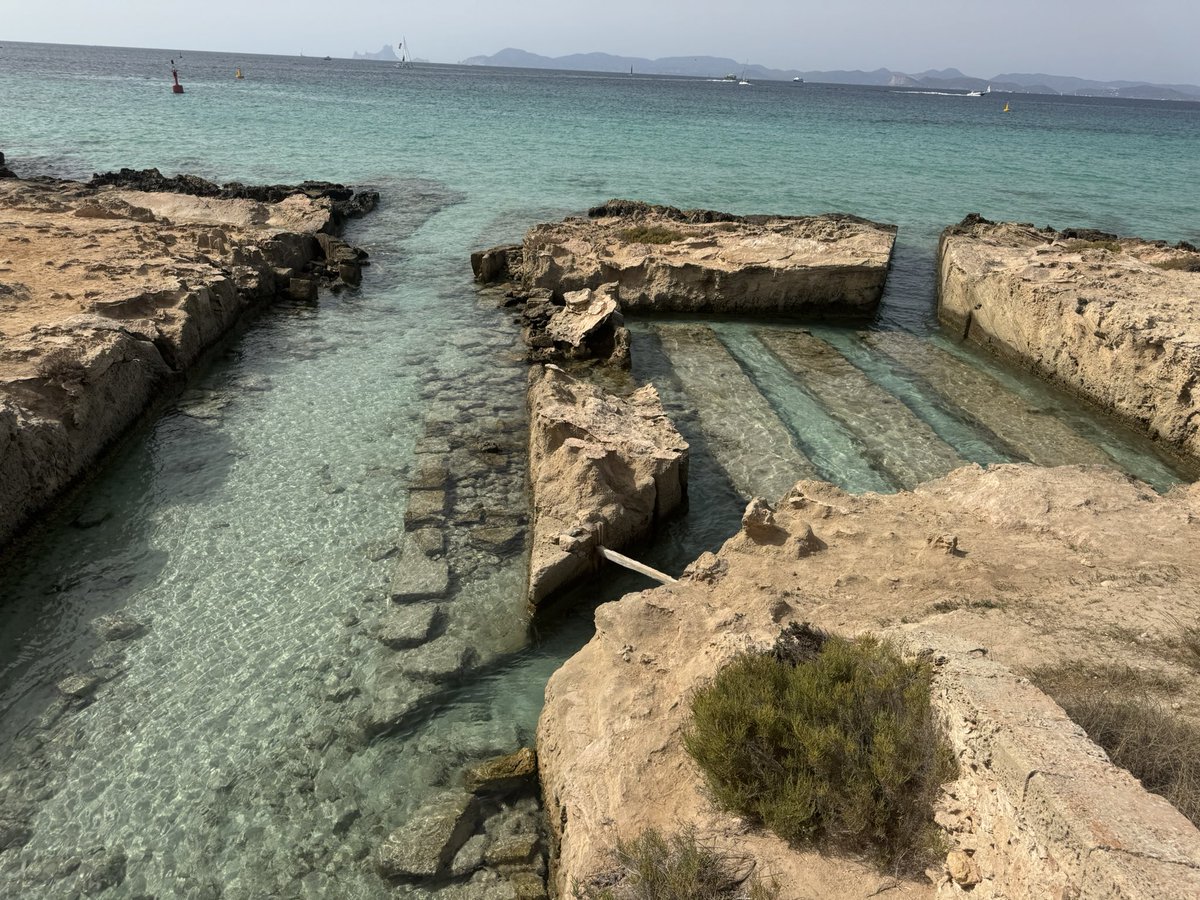 Mauro Casciari tweet media