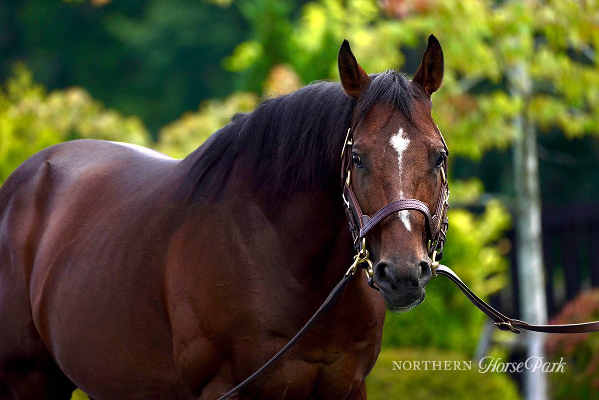 大人気イベント／ 「社台スタリオンステーションに行こう！バスツアー