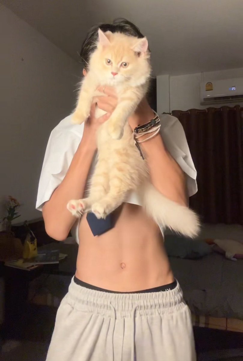 ooaatt69's tweet image. 😽