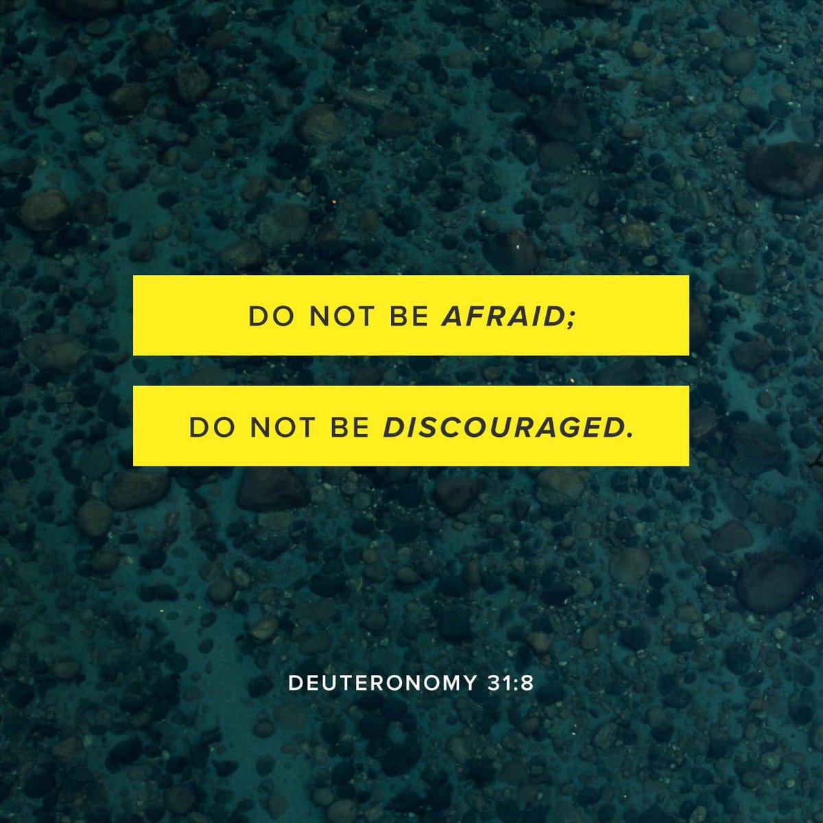 Isaiah's Insight-8/27:
Don't be AFRAID nor DISCOURAGED; God is RIGHT there (31Deut6).