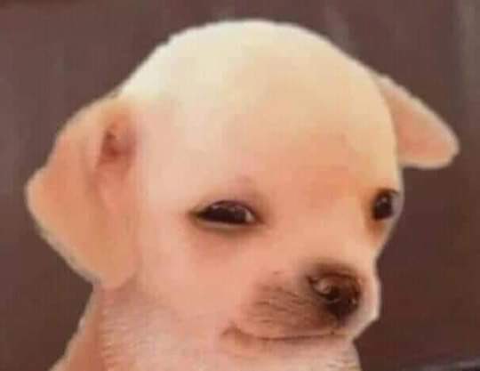 Pienso en el grupo de perdedores que no querían juntar a Taylor Swift en la escuela y hacían planes para excluirla, ¿Qué pensarán de que ahora ella es la protagonista del planeta Tierra? Estornuda y es noticia, se va a casar y hasta obligaron al presidente a hablar de eso.