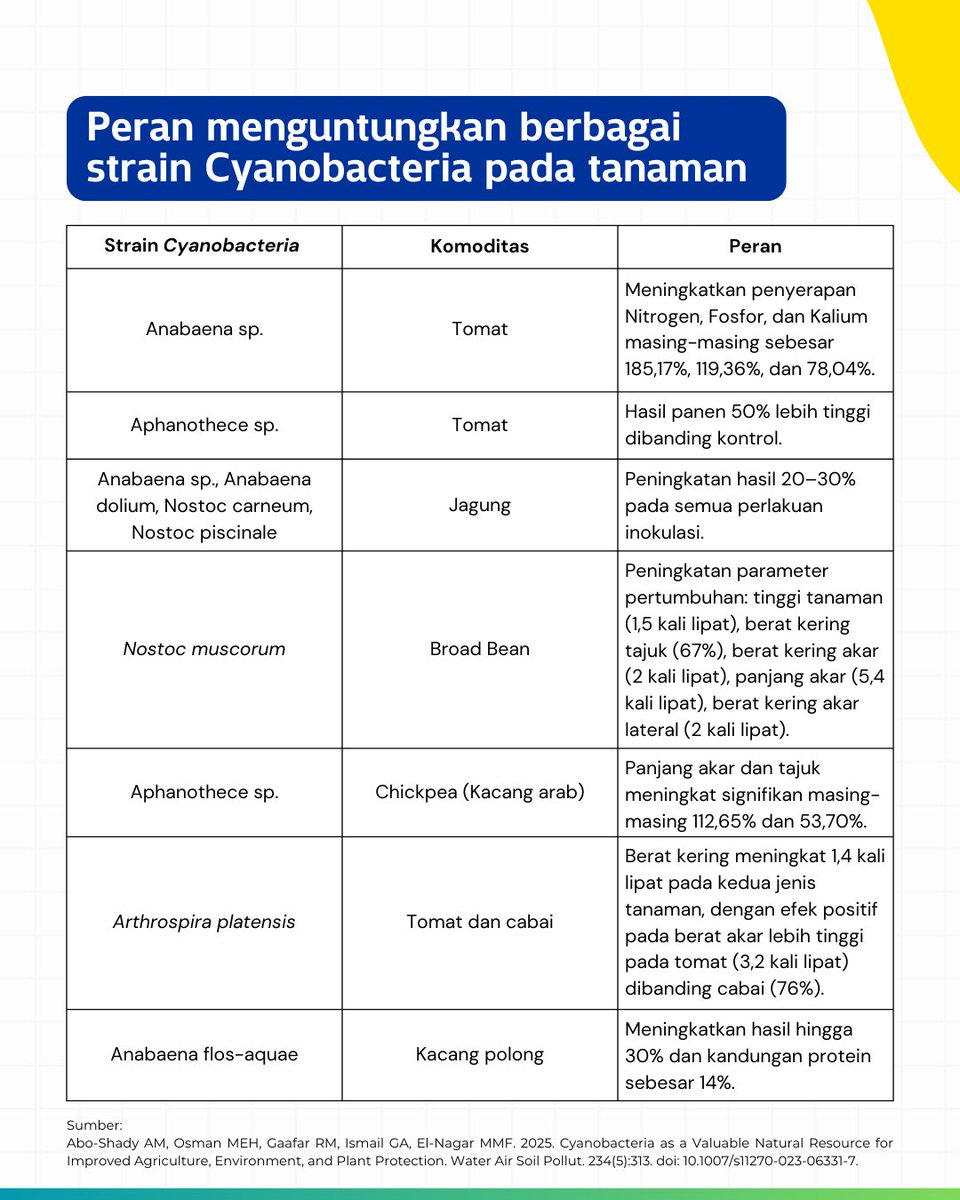Sianobakteri atau alga biru-hijau adalah sekelompok mikroorganisme prokariotik yang terkenal karena kemampuannya melakukan fotosintesis. 
Yuk kita simak info lengkapnya!