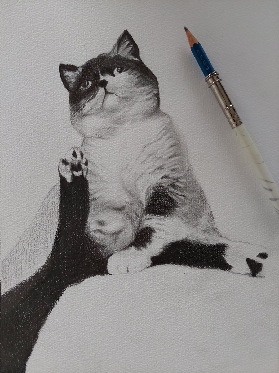 TeslaKedar's tweet image. Bardziej puchata...
#rysunek #kot